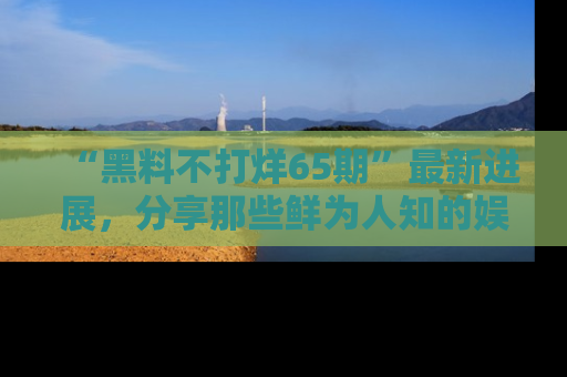“黑料不打烊65期”最新进展,分享那些鲜为人知的娱乐八卦