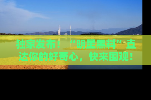 独家发布！“明星黑料”直达你的好奇心，快来围观！