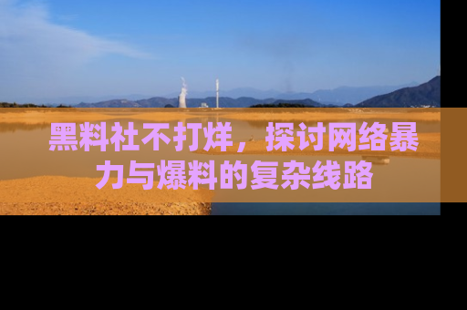 黑料社不打烊，探讨网络暴力与爆料的复杂线路