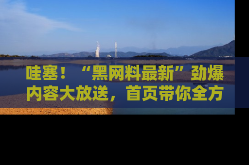 哇塞!“黑网料最新”劲爆内容大放送,首页带你全方位了解哦,小可爱们